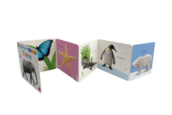 Innenansicht 1 zum Buch Erstes Lernen Fühl-Leporello. Tiere