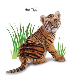 Innenansicht 2 zum Buch Erstes Lernen Fühl-Leporello. Tiere