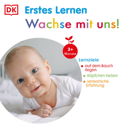 Innenansicht 3 zum Buch Erstes Lernen Fühl-Leporello. Fahrzeuge