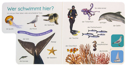 Innenansicht 2 zum Buch Erstes Lernen Pocket. Am Meer