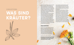 Innenansicht 3 zum Buch Das kleine Handbuch der Kräuterapotheke