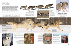 Innenansicht 3 zum Buch memo Wissen. Hunde