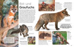 Innenansicht 4 zum Buch memo Wissen. Hunde