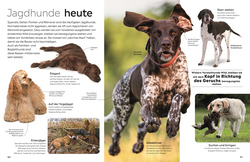 Innenansicht 7 zum Buch memo Wissen. Hunde