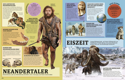 Innenansicht 7 zum Buch 1000 Fragen für clevere Kids