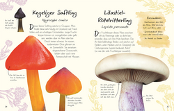Innenansicht 3 zum Buch Wundervolle Welt – Kleine Schätze. Pilze