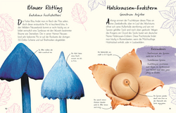 Innenansicht 4 zum Buch Wundervolle Welt – Kleine Schätze. Pilze