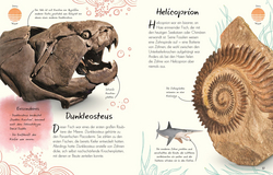 Innenansicht 3 zum Buch Wundervolle Welt - Kleine Schätze. Fossilien