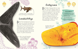 Innenansicht 5 zum Buch Wundervolle Welt - Kleine Schätze. Fossilien