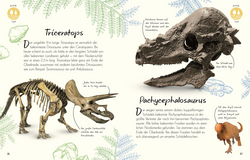 Innenansicht 6 zum Buch Wundervolle Welt - Kleine Schätze. Fossilien