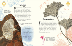 Innenansicht 3 zum Buch Wundervolle Welt - Kleine Schätze. Fossilien