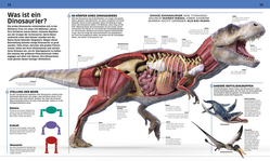 Innenansicht 2 zum Buch DK Wissen. Dinosaurier