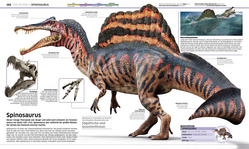 Innenansicht 3 zum Buch DK Wissen. Dinosaurier