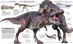 Innenansicht 5 zum Buch DK Wissen. Dinosaurier