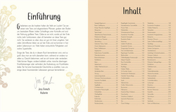 Innenansicht 1 zum Buch Wundervolle Welt der Insekten und Spinnentiere