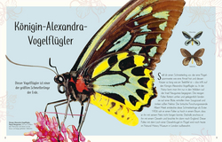 Innenansicht 2 zum Buch Wundervolle Welt der Insekten und Spinnentiere