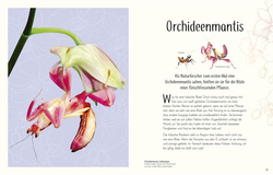 Innenansicht 3 zum Buch Wundervolle Welt der Insekten und Spinnentiere