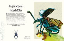 Innenansicht 5 zum Buch Wundervolle Welt der Insekten und Spinnentiere