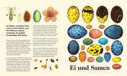 Innenansicht 5 zum Buch Das Wunder des Lebens