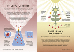 Innenansicht 7 zum Buch Simply Chemie