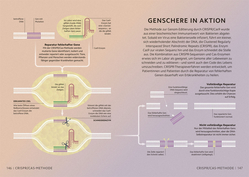 Innenansicht 8 zum Buch Simply Chemie