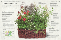 Innenansicht 3 zum Buch Küchenkräuter anbauen und genießen