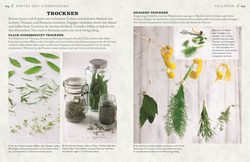 Innenansicht 7 zum Buch Küchenkräuter anbauen und genießen