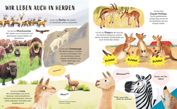 Innenansicht 2 zum Buch Wir gehören zusammen!