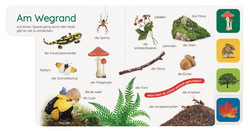 Innenansicht 1 zum Buch Erstes Lernen Pocket. Im Wald