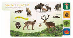 Innenansicht 2 zum Buch Erstes Lernen Pocket. Im Wald