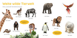Innenansicht 5 zum Buch Erstes Lernen Puzzlebuch. Tiere