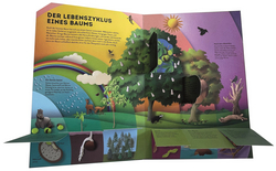 Innenansicht 2 zum Buch Wissenswelten. Bäume