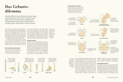 Innenansicht 8 zum Buch HUMANS. Der Mensch