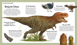 Innenansicht 5 zum Buch Tiergeschichten zum Träumen. Zauber der Dinos