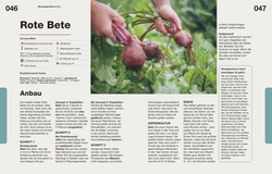 Innenansicht 3 zum Buch Vom Beet auf den Teller
