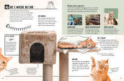 Innenansicht 3 zum Buch Meine Katze