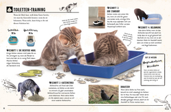 Innenansicht 5 zum Buch Meine Katze
