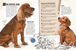 Innenansicht 2 zum Buch Mein Hund