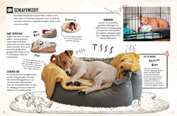 Innenansicht 4 zum Buch Mein Hund