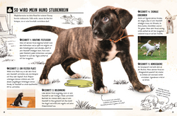 Innenansicht 5 zum Buch Mein Hund