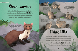 Innenansicht 2 zum Buch Mein liebstes Buch der Tiere der Nacht