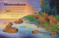 Innenansicht 3 zum Buch Mein liebstes Buch der Tiere der Nacht