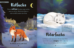 Innenansicht 4 zum Buch Mein liebstes Buch der Tiere der Nacht