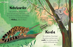 Innenansicht 5 zum Buch Mein liebstes Buch der Tiere der Nacht
