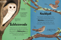 Innenansicht 6 zum Buch Mein liebstes Buch der Tiere der Nacht