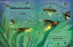 Innenansicht 7 zum Buch Mein liebstes Buch der Tiere der Nacht