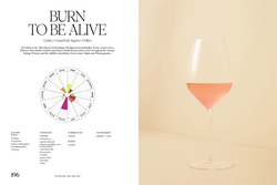 Innenansicht 4 zum Buch Sobrelier