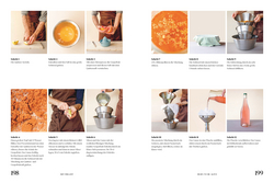 Innenansicht 5 zum Buch Sobrelier