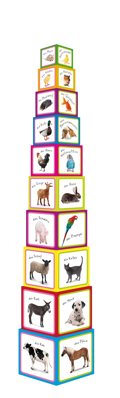 Erstes Lernen Stapelwurfel Tiere Dk Verlag