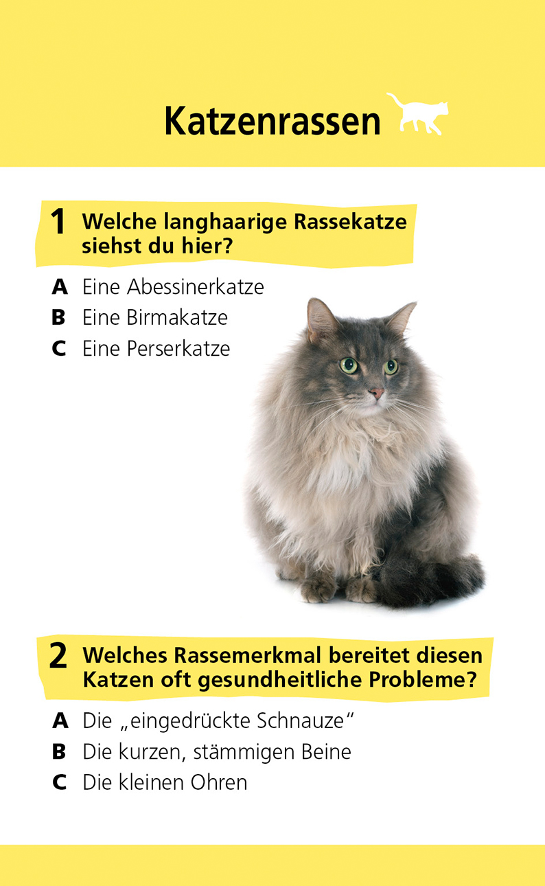 memo Quiz. Katzen | DK Verlag